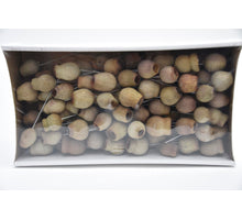 Glockenkaugummi auf 10cm Sampler 100Stk. natur