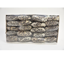 Mealy Pods 10cm Sampler weiß-waschen 35Stück