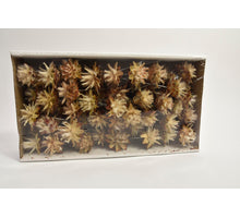 Plumosum 10cm Sampler natur 55Stück