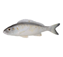 Zierfisch Grau 8x3x28cm