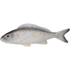 Zierfisch Grau 8x3x28cm