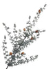 Ming Pine Spray 81cm Grün/Weiß