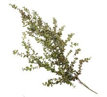 Künstlicher Eukalyptuszweig, hängend, grün, 95 cm
