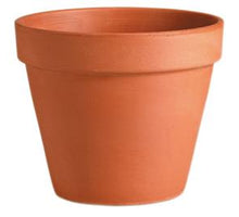 Redstone Terrakotta Blumentopf D5,5H5 cm